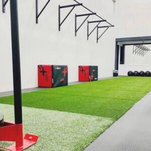 1 Month Single Performance Membership